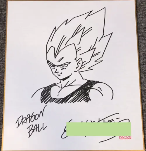 Educational counterfeit reference image (Screenshot 2024-01-24 022608). — educational counterfeit (FAKE) shikishi reference associated with Akira Toriyama