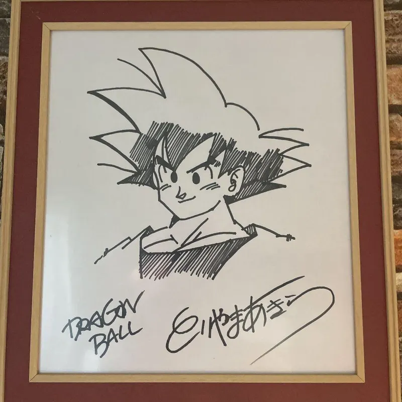 Educational counterfeit reference image (m79499014730_1). — educational counterfeit (FAKE) shikishi reference associated with Akira Toriyama
