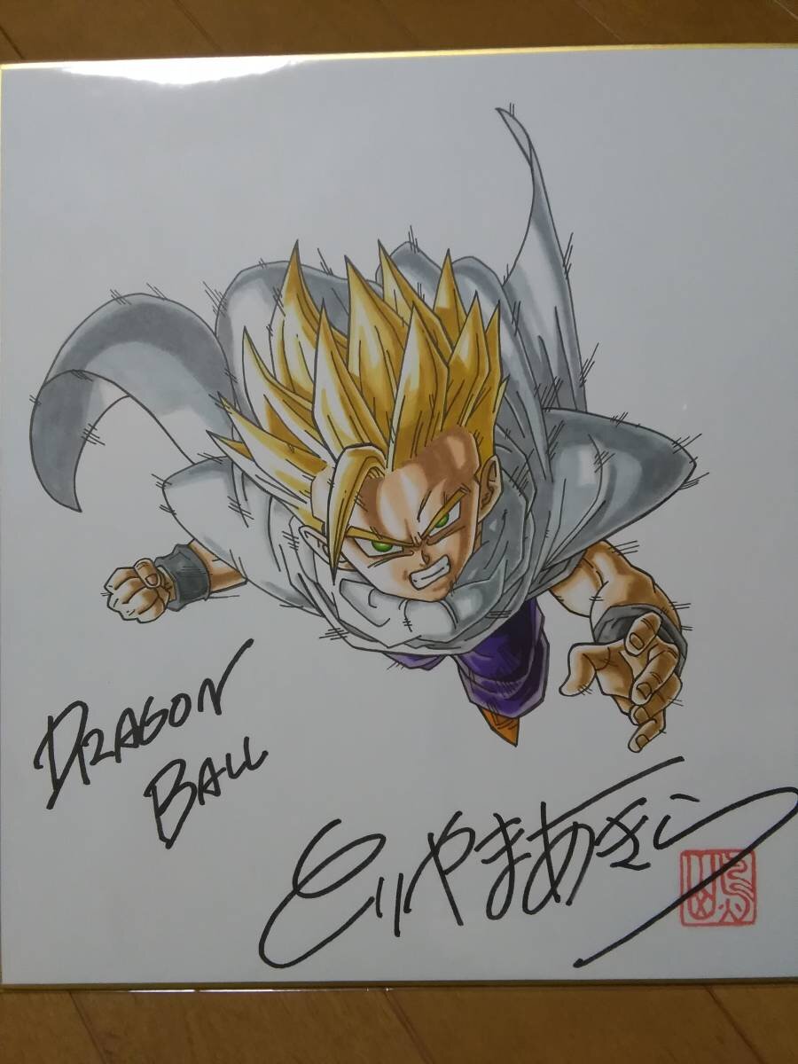 Educational counterfeit reference image (s599189504.1). — educational counterfeit (FAKE) shikishi reference associated with Akira Toriyama