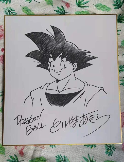 Educational counterfeit reference image (Hc02a10598ece41fc89131cf8f2fd7f4bM.jpg_640x640Q90.jpg_). — educational counterfeit (FAKE) shikishi reference associated with Akira Toriyama