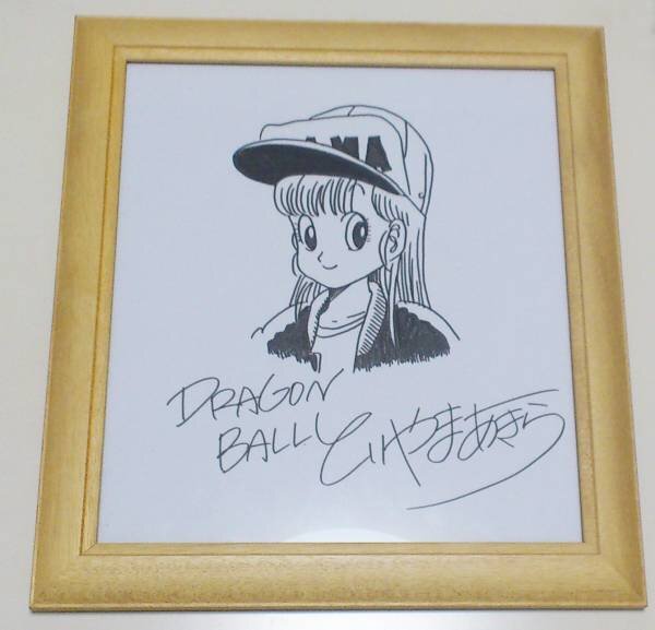 Educational counterfeit reference image (h189730733.1). — educational counterfeit (FAKE) shikishi reference associated with Akira Toriyama