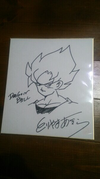 Educational counterfeit reference image (b229221000.1). — educational counterfeit (FAKE) shikishi reference associated with Akira Toriyama