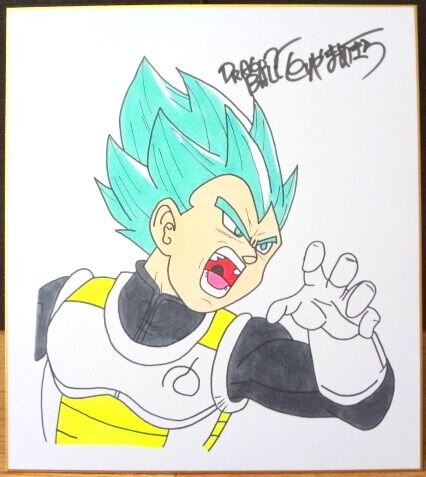 Educational counterfeit reference image (e198087758.1). — educational counterfeit (FAKE) shikishi reference associated with Akira Toriyama
