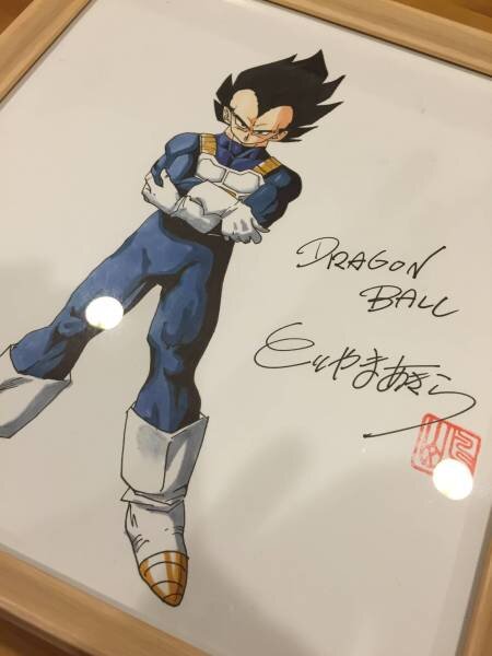 Educational counterfeit reference image (x456487791.1). — educational counterfeit (FAKE) shikishi reference associated with Akira Toriyama