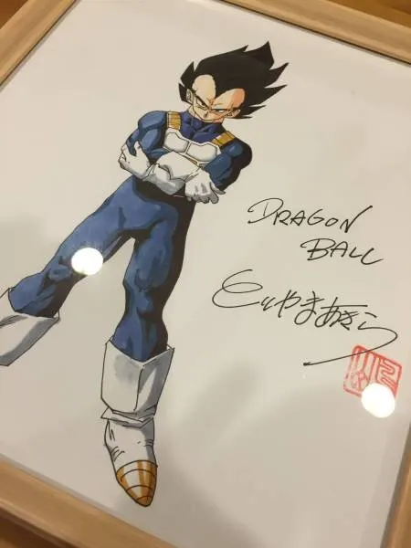 Educational counterfeit reference image (x456487791.1). — educational counterfeit (FAKE) shikishi reference associated with Akira Toriyama