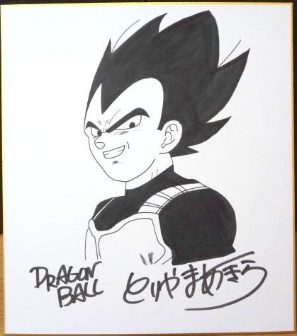 Educational counterfeit reference image (x467990295.1). — educational counterfeit (FAKE) shikishi reference associated with Akira Toriyama
