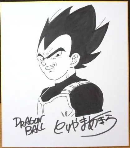 Educational counterfeit reference image (x467990295.1). — educational counterfeit (FAKE) shikishi reference associated with Akira Toriyama