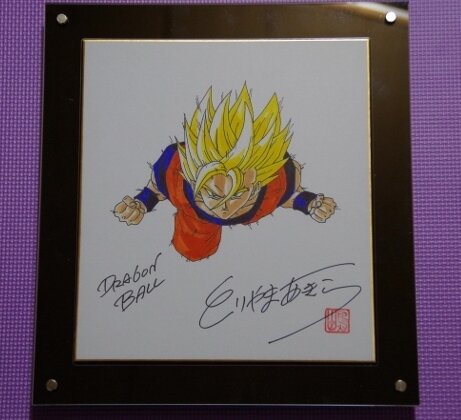 Educational counterfeit reference image (b244686134.1). — educational counterfeit (FAKE) shikishi reference associated with Akira Toriyama