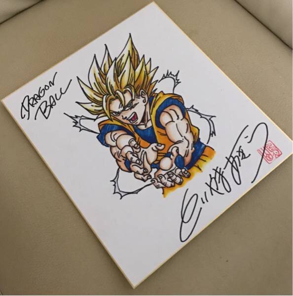 Educational counterfeit reference image (h251939763.1). — educational counterfeit (FAKE) shikishi reference associated with Akira Toriyama