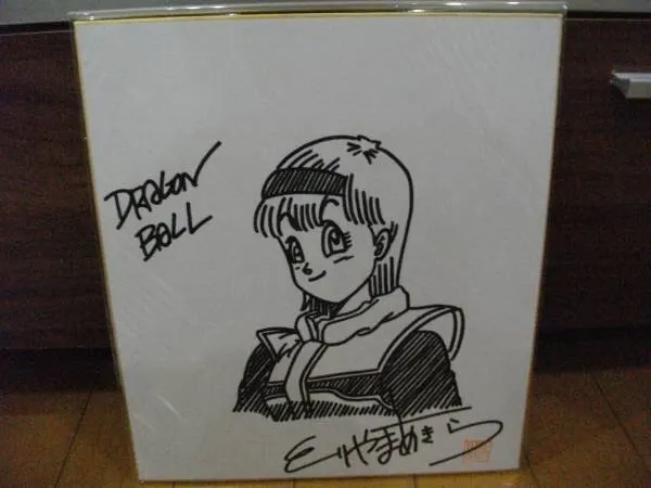 Educational counterfeit reference image (l383923447.1). — educational counterfeit (FAKE) shikishi reference associated with Akira Toriyama