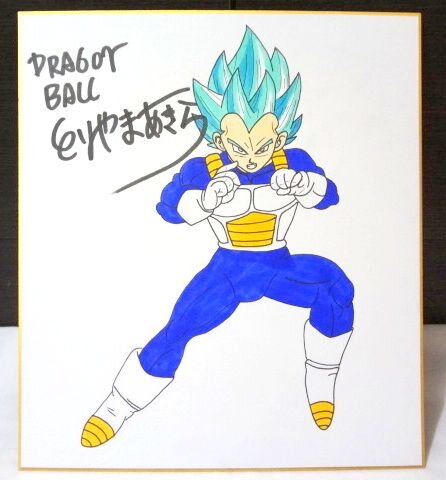Educational counterfeit reference image (m194044127.1). — educational counterfeit (FAKE) shikishi reference associated with Akira Toriyama