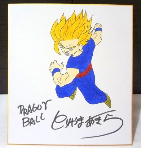 Educational counterfeit reference image (x482587699.1). — educational counterfeit (FAKE) shikishi reference associated with Akira Toriyama