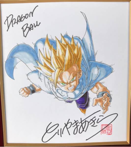 Educational counterfeit reference image (r186186339.3). — educational counterfeit (FAKE) shikishi reference associated with Akira Toriyama