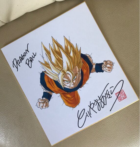 Educational counterfeit reference image (x493600493.1). — educational counterfeit (FAKE) shikishi reference associated with Akira Toriyama