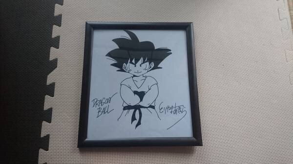 Educational counterfeit reference image (u148411391.1). — educational counterfeit (FAKE) shikishi reference associated with Akira Toriyama