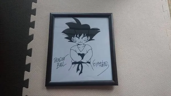 Educational counterfeit reference image (u148411391.1). — educational counterfeit (FAKE) shikishi reference associated with Akira Toriyama