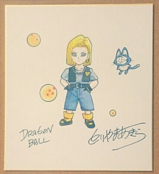Educational counterfeit reference image (b266872986.1). — educational counterfeit (FAKE) shikishi reference associated with Akira Toriyama