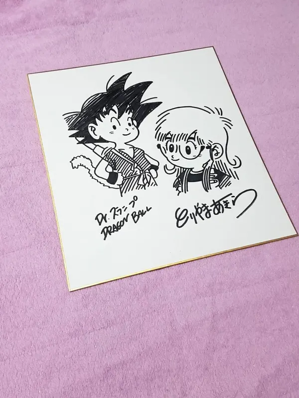 Educational counterfeit reference image (r213129139.1). — educational counterfeit (FAKE) shikishi reference associated with Akira Toriyama