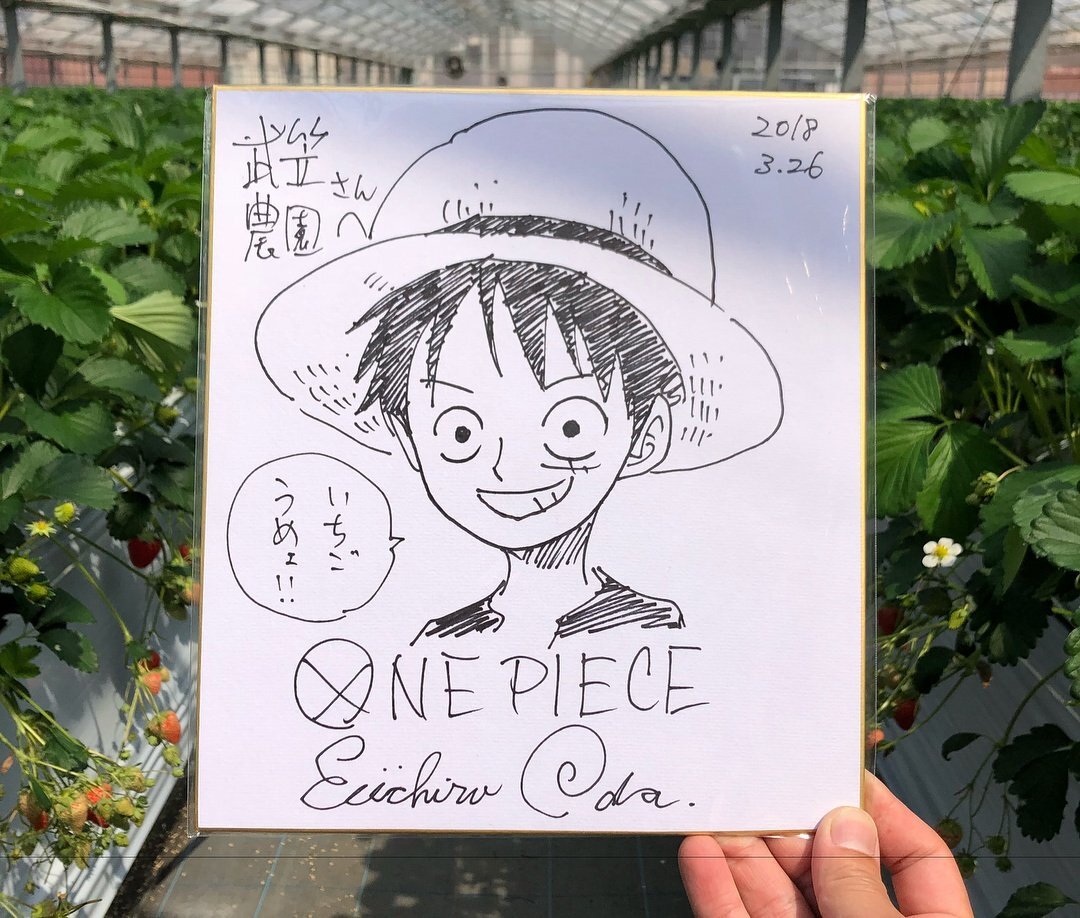 Educational authentic reference image (DkAVQ7kUYAEVz3s). — educational authentic (REAL) shikishi reference associated with Eiichiro ODA
