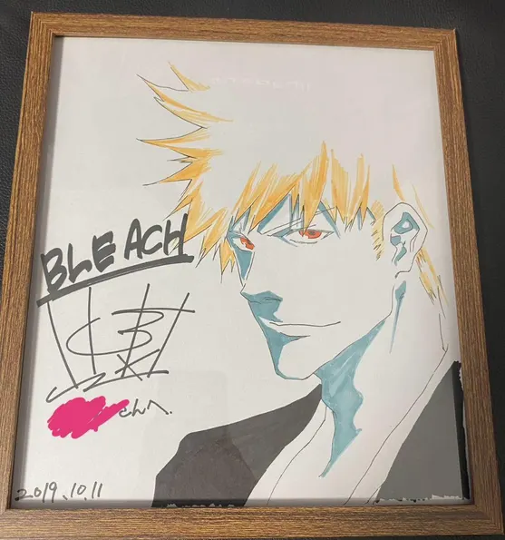 Educational counterfeit reference image (Screenshot 2024-05-14 182717). — educational counterfeit (FAKE) shikishi reference associated with Tite Kubo