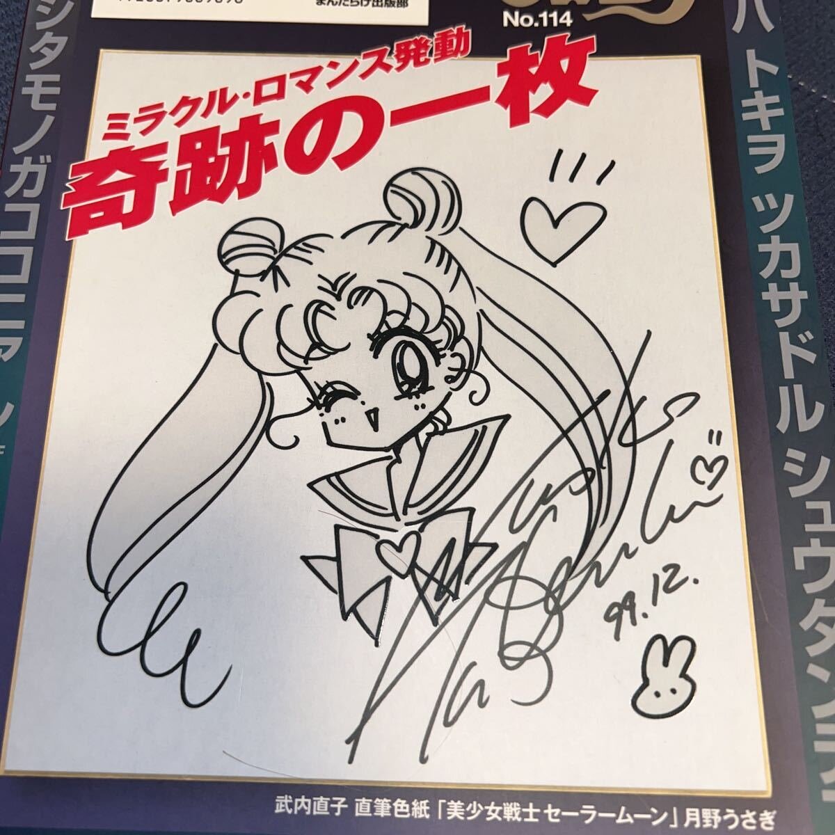 Educational authentic reference image (o1109102589.1). — educational authentic (REAL) shikishi reference associated with Naoko Takeuchi
