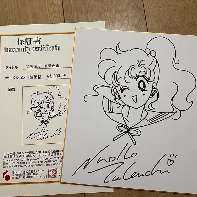 Educational counterfeit reference image (m56077102658_1). — educational counterfeit (FAKE) shikishi reference associated with Naoko Takeuchi