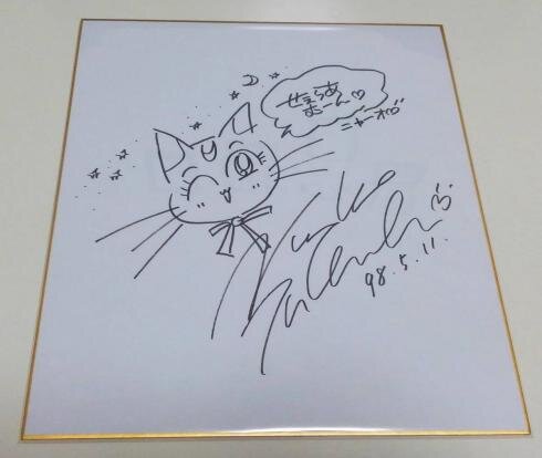 Educational counterfeit reference image (q200941464). — educational counterfeit (FAKE) shikishi reference associated with Naoko Takeuchi
