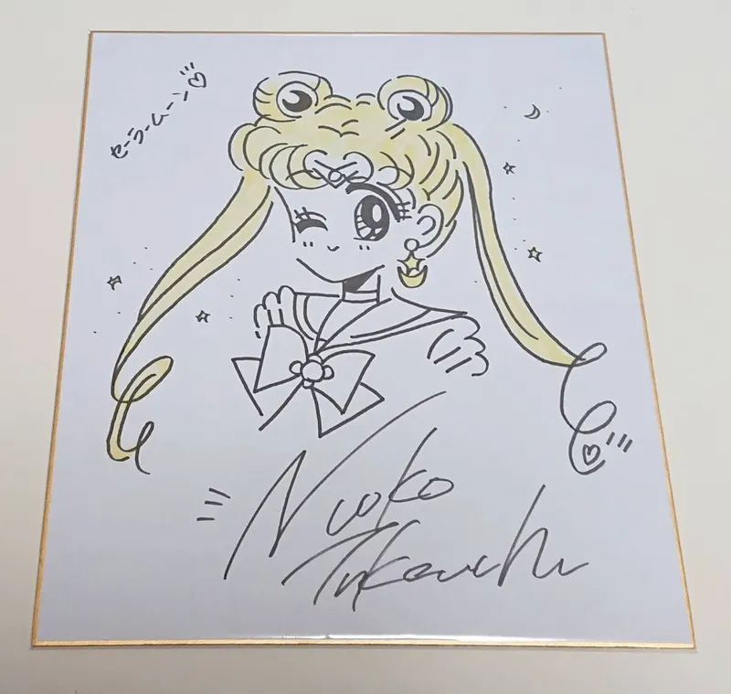 Educational counterfeit reference image (l1061801611.1). — educational counterfeit (FAKE) shikishi reference associated with Naoko Takeuchi