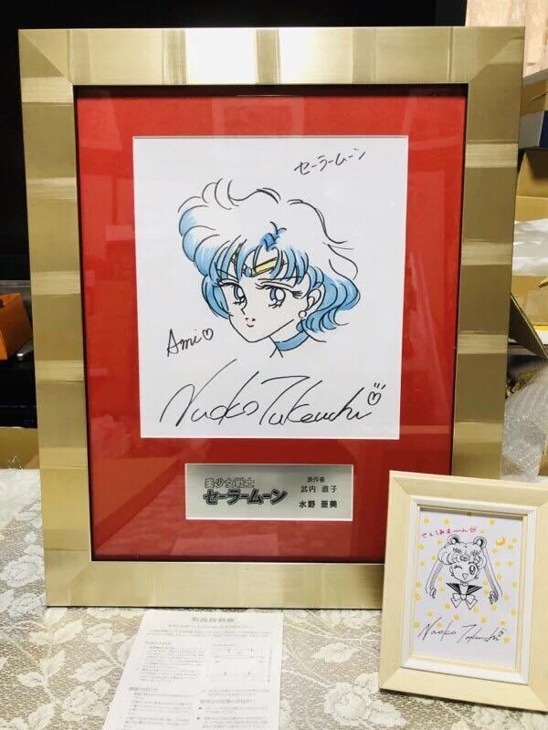 Educational counterfeit reference image (n365175678.1). — educational counterfeit (FAKE) shikishi reference associated with Naoko Takeuchi