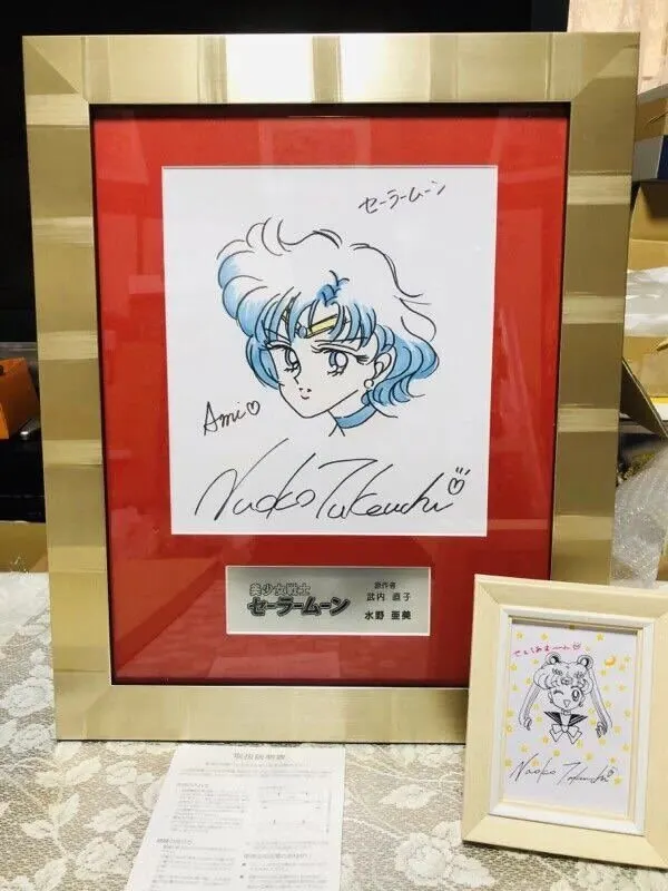 Educational counterfeit reference image (n365175678.1). — educational counterfeit (FAKE) shikishi reference associated with Naoko Takeuchi