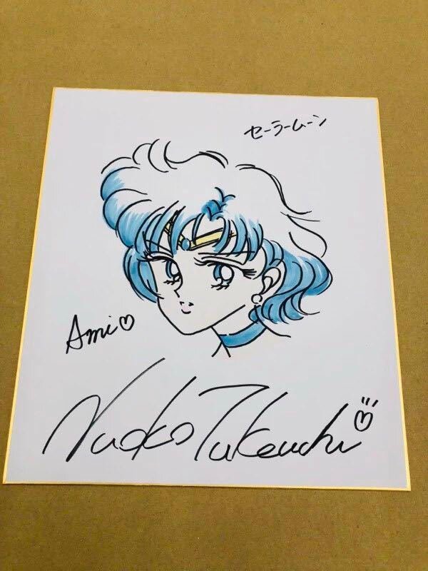 Educational counterfeit reference image (x621050624.1). — educational counterfeit (FAKE) shikishi reference associated with Naoko Takeuchi