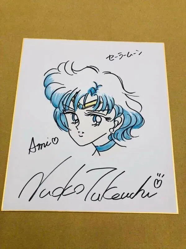 Educational counterfeit reference image (x621050624.1). — educational counterfeit (FAKE) shikishi reference associated with Naoko Takeuchi