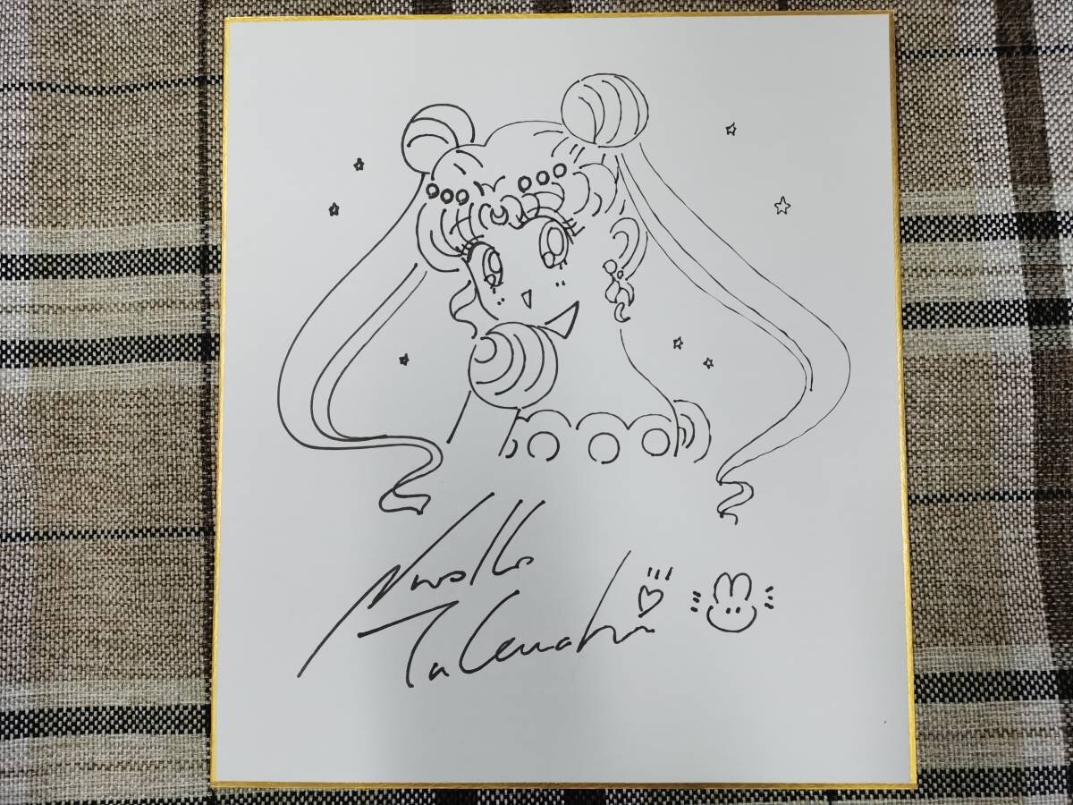 Educational counterfeit reference image (w381049298.1). — educational counterfeit (FAKE) shikishi reference associated with Naoko Takeuchi