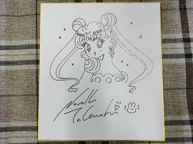 Educational counterfeit reference image (w381049298.1). — educational counterfeit (FAKE) shikishi reference associated with Naoko Takeuchi