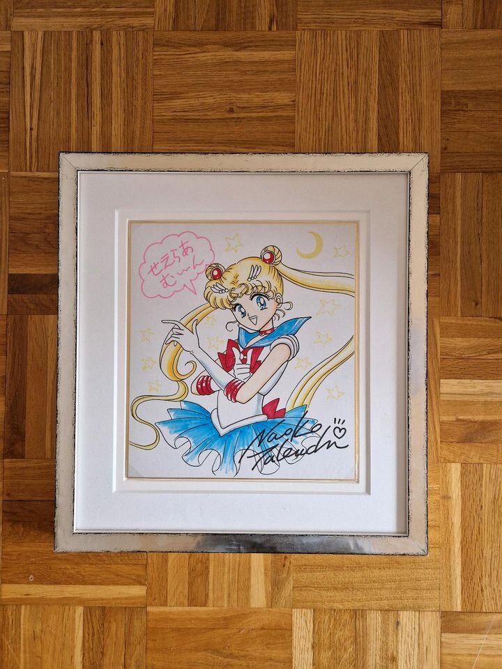 Educational counterfeit reference image (24985aff-ca13-4078-8ef4-c8a12a393d8e). — educational counterfeit (FAKE) shikishi reference associated with Naoko Takeuchi