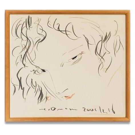 Educational authentic reference image (天野喜孝色紙原画). — educational authentic (REAL) shikishi reference associated with Yoshitaka Amano