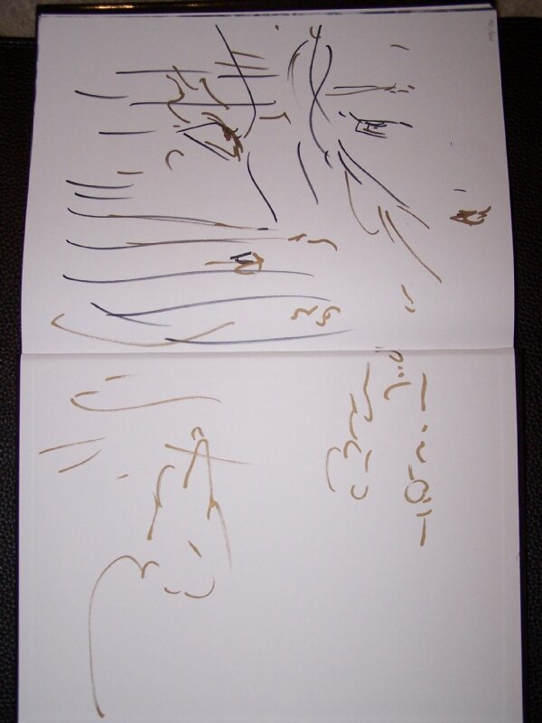 Educational authentic reference image (Yoshitaka Amano_Magic Flute Inside Cover). — educational authentic (REAL) shikishi reference associated with Yoshitaka Amano