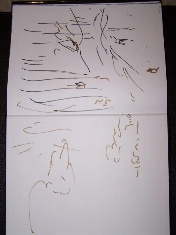 Educational authentic reference image (Yoshitaka Amano_Magic Flute Inside Cover). — educational authentic (REAL) shikishi reference associated with Yoshitaka Amano