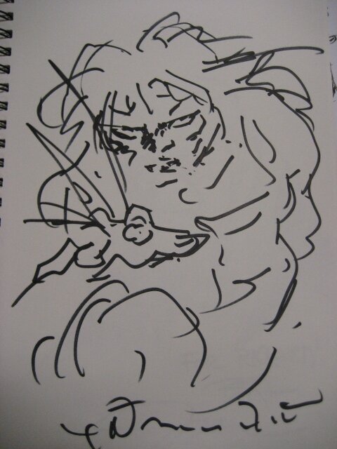 Educational authentic reference image (IMG_2878). — educational authentic (REAL) shikishi reference associated with Yoshitaka Amano