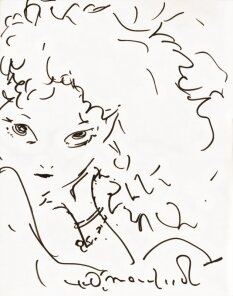 Educational authentic reference image (finalfantasyvi_character_main_relm_arrowny_unknown_sketch_by_yoshitaka_amano). — educational authentic (REAL) shikishi reference associated with Yoshitaka Amano