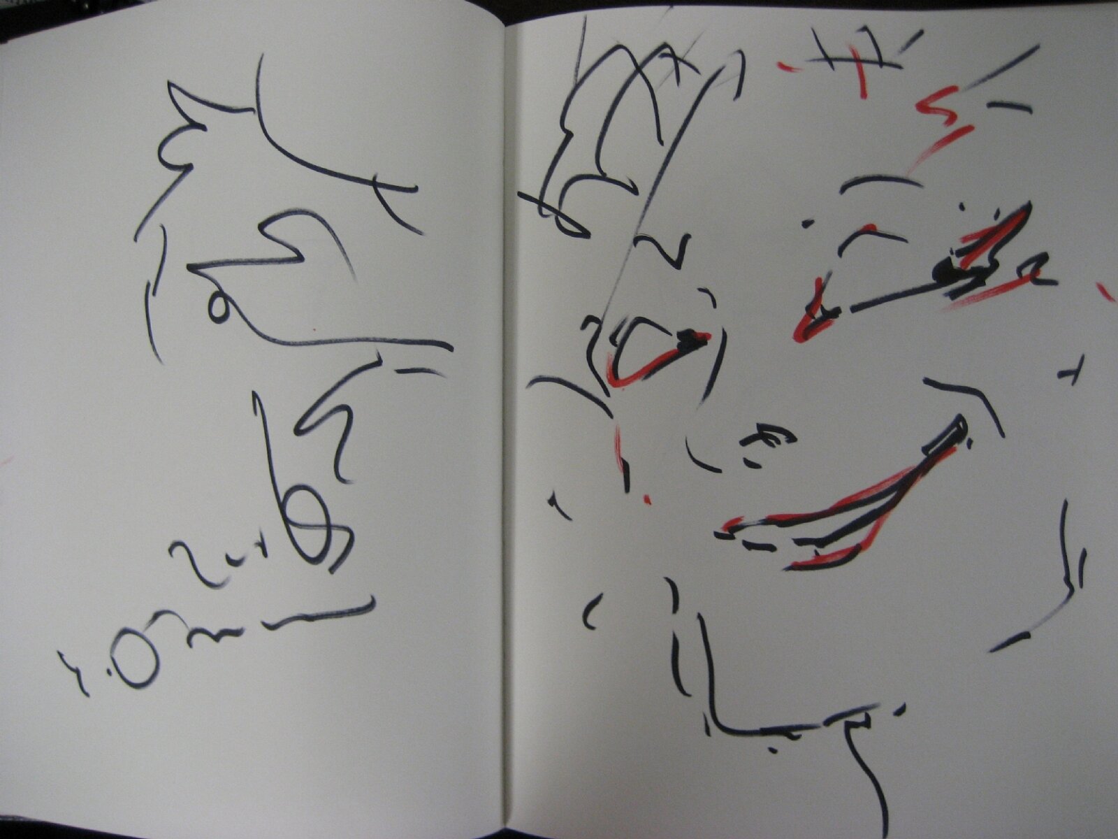 Educational authentic reference image (IMG_0838). — educational authentic (REAL) shikishi reference associated with Yoshitaka Amano