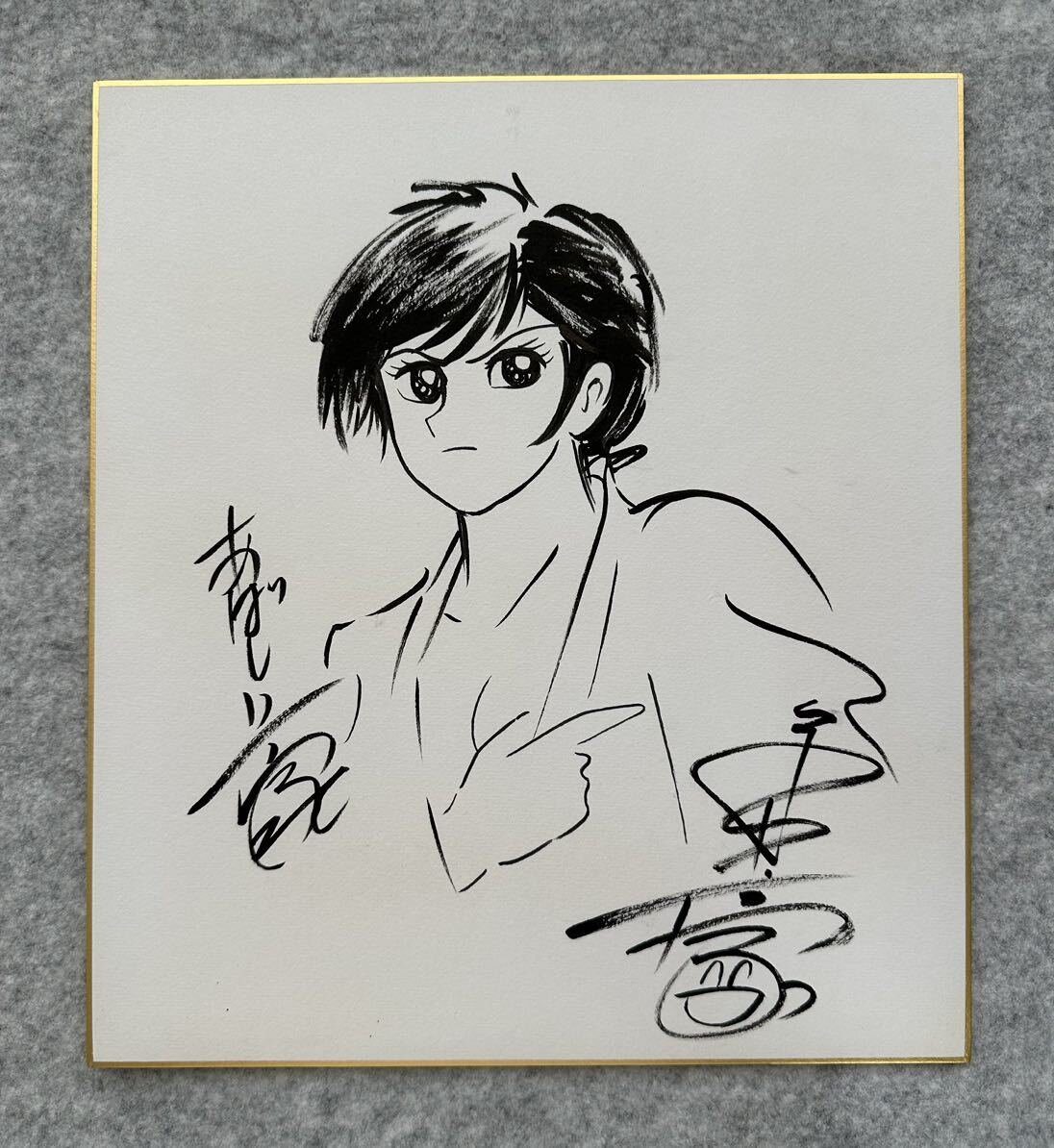 Educational counterfeit reference image (r1125970145.1). — educational counterfeit (FAKE) shikishi reference associated with GO Nagai