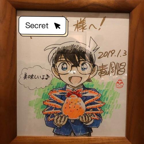 Educational authentic reference image (u=3104399762,625273093&fm=253&app=138&f=JPEG). — educational authentic (REAL) shikishi reference associated with Gosho Aoyama