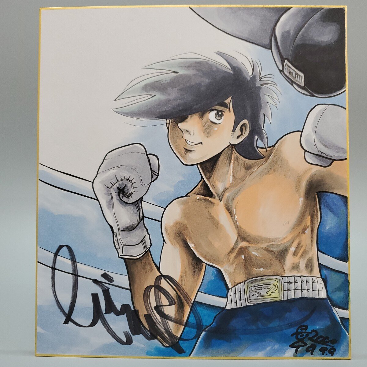 Educational counterfeit reference image (i-img1200x1200-17331094563467wzooir98389). — educational counterfeit (FAKE) shikishi reference associated with Tetsuya Chiba