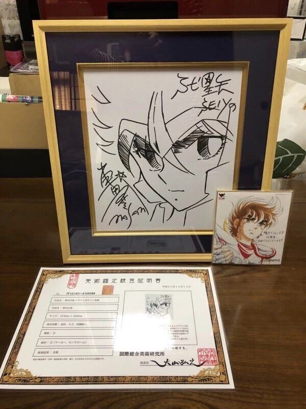 Educational counterfeit reference image (s597086458.1). — educational counterfeit (FAKE) shikishi reference associated with Masami Kurumada
