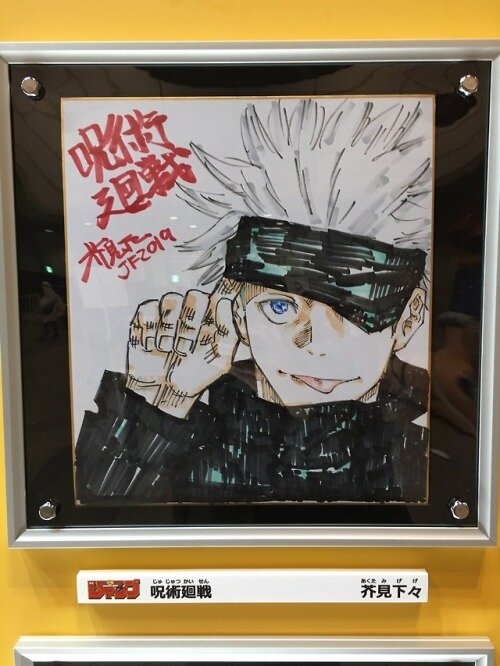 Educational authentic reference image (tumblr_pk5kttfd6V1sjroblo1_500). — educational authentic (REAL) shikishi reference associated with Gege Akutami