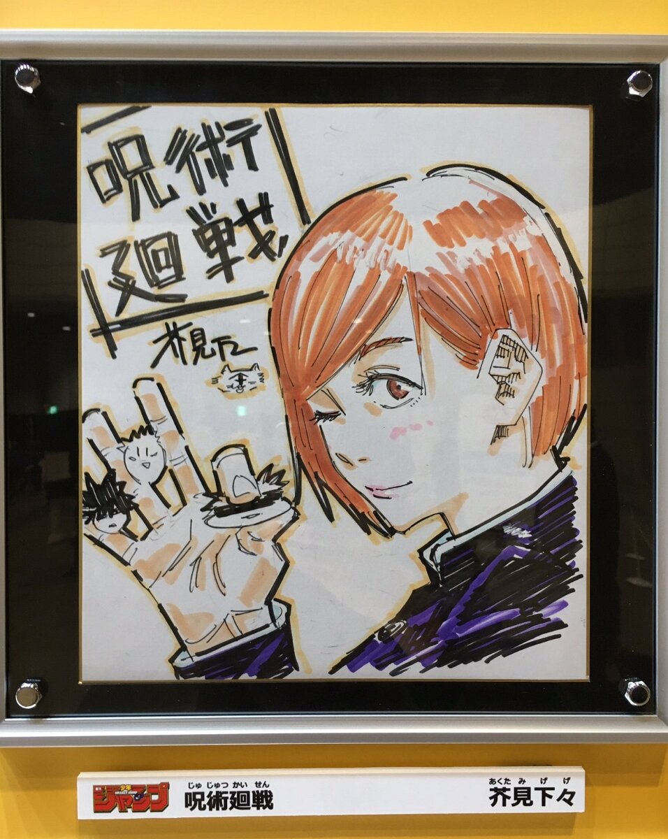 Educational authentic reference image (tumblr_fabcd4d803ee636767fea256a46c2ec4_aeb94178_1280). — educational authentic (REAL) shikishi reference associated with Gege Akutami
