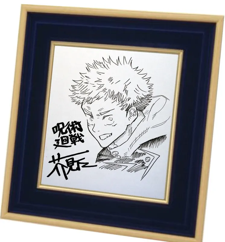 Educational counterfeit reference image (w435491604.2). — educational counterfeit (FAKE) shikishi reference associated with Gege Akutami