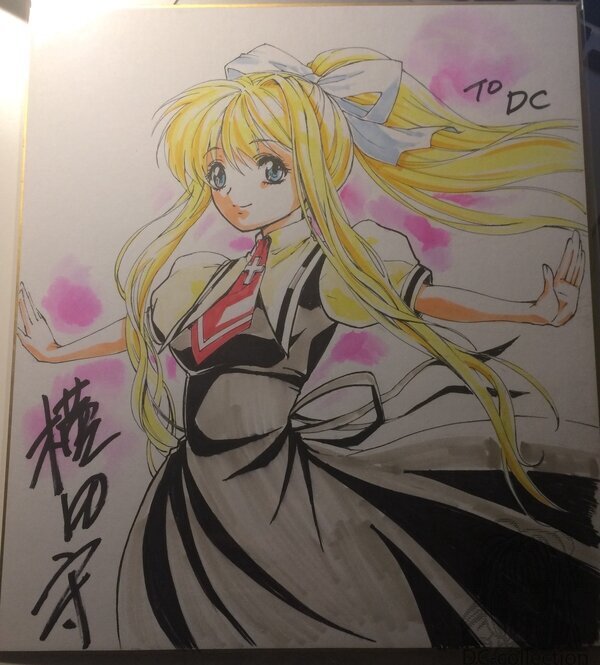 Educational authentic reference image (fileaweawrwr). — educational authentic (REAL) shikishi reference associated with Mamoru Yokota