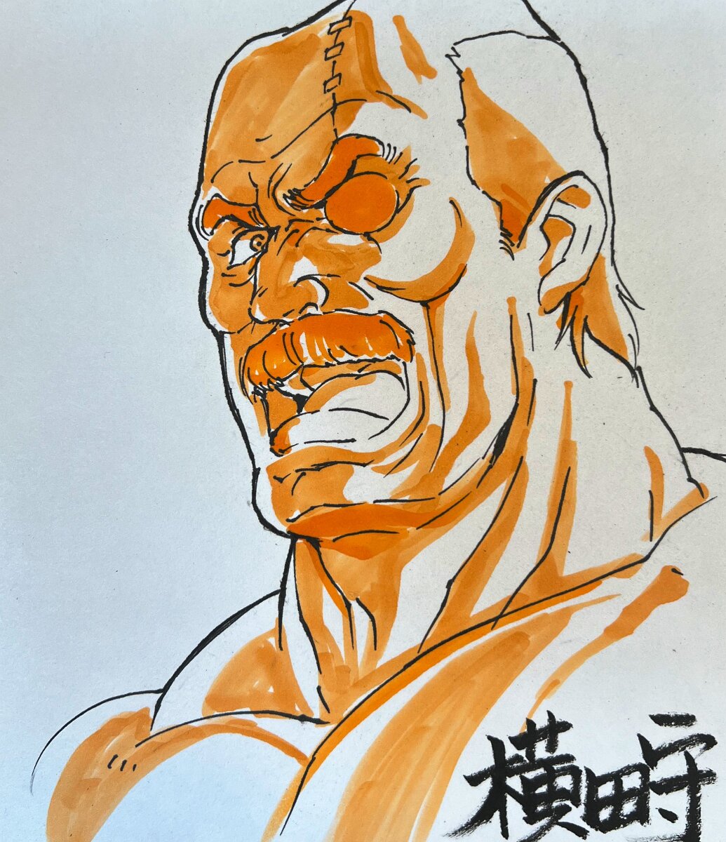 Educational authentic reference image (GUm6gdZWMAAqrdD). — educational authentic (REAL) shikishi reference associated with Mamoru Yokota